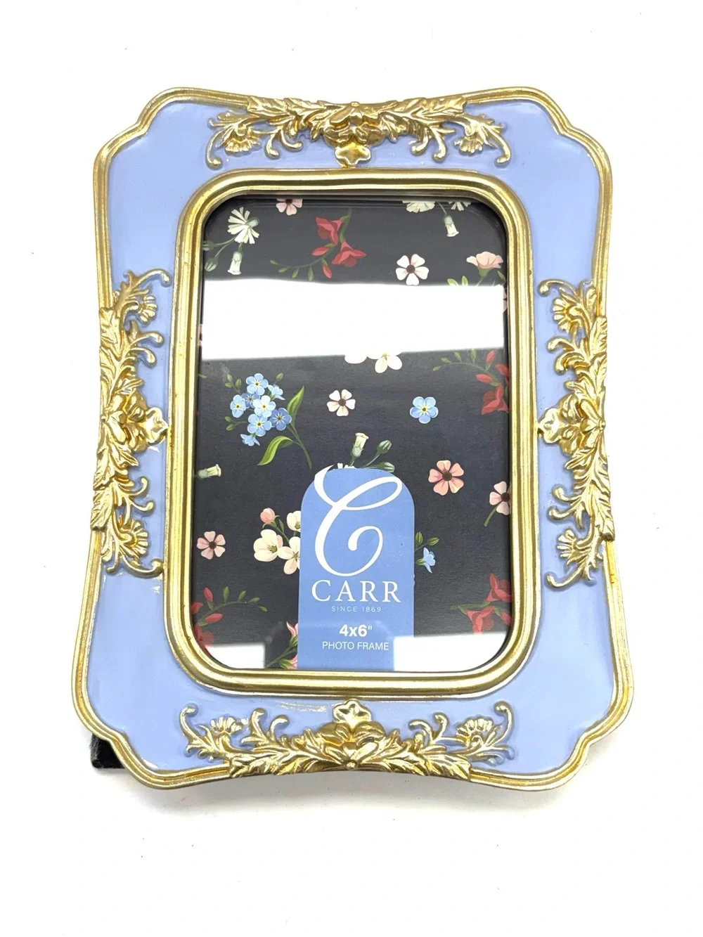 Carr picture frame